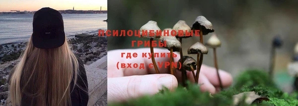 молекула духа Медногорск