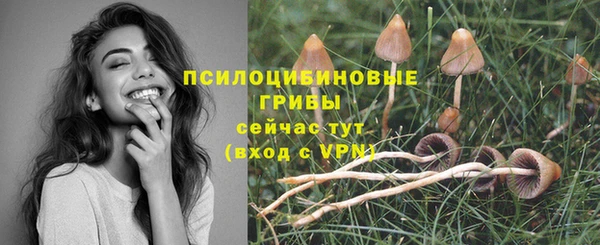 молекула духа Медногорск
