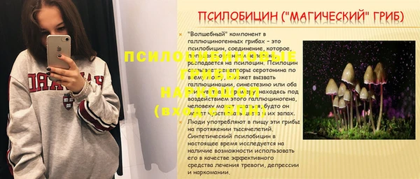 молекула духа Медногорск