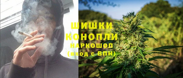 молекула духа Медногорск