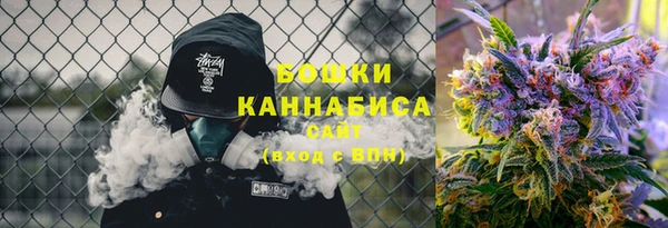 молекула духа Медногорск